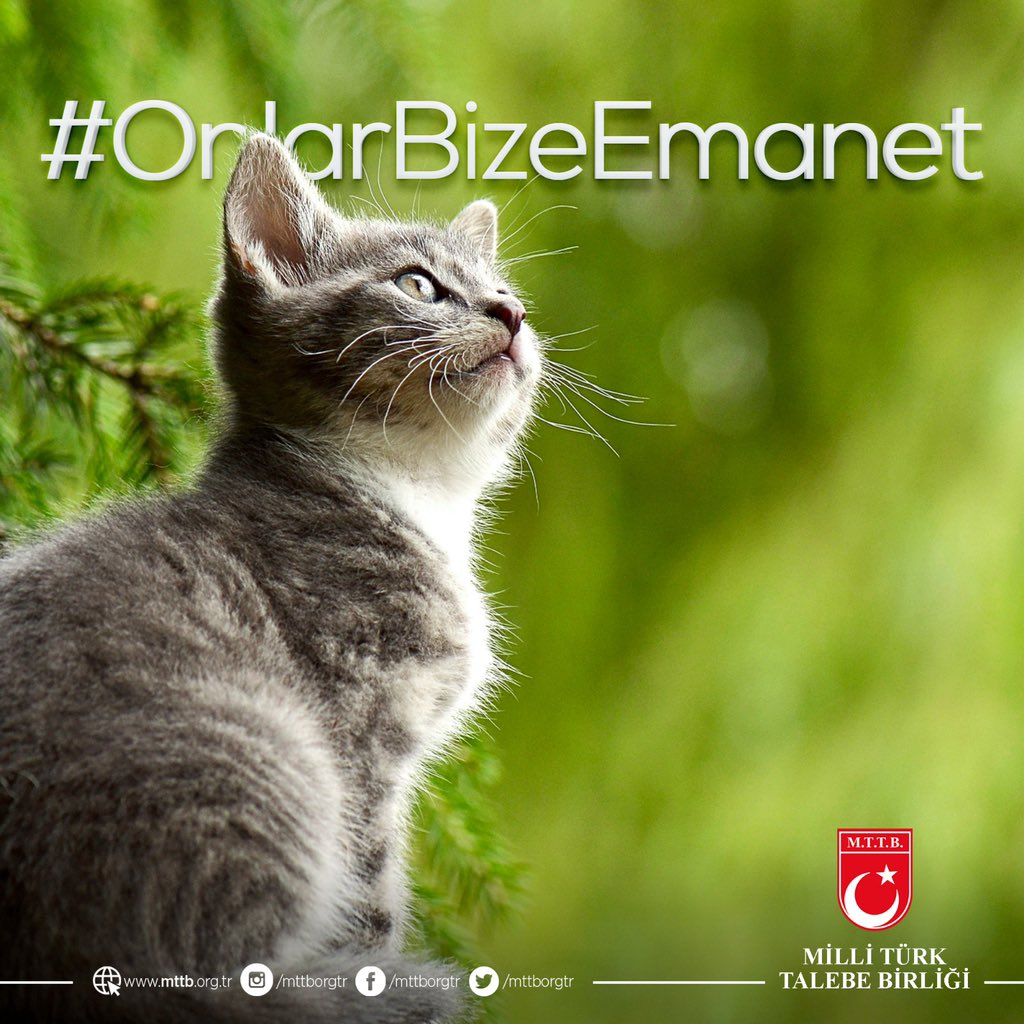 Onlar Bize Emanet